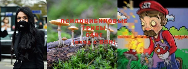 дурь Алзамай