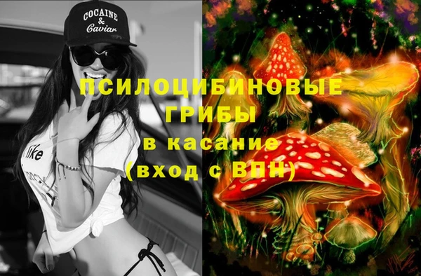 дурь Алзамай
