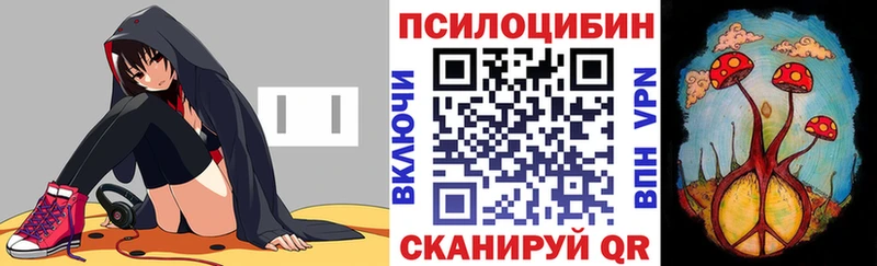 гидра как зайти  Калтан  Галлюциногенные грибы мицелий 